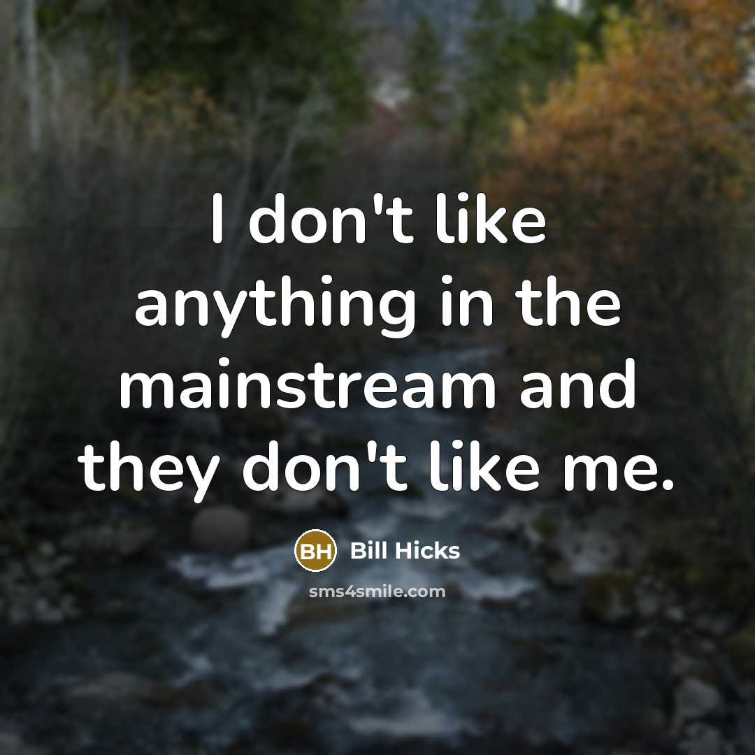 “I don't like anything in the mainstream and they don't…” quote by Bill Hicks