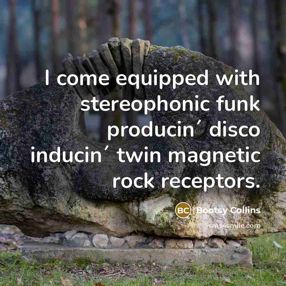 “I come equipped with stereophonic funk producin´ disco inducin´ twin…” quote by Bootsy Collins