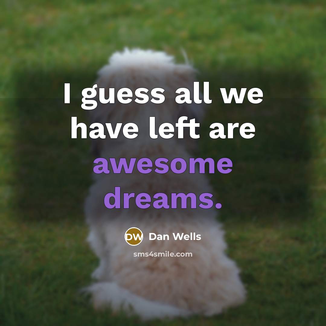 “I guess all we have left are awesome dreams.” quote by Dan Wells
