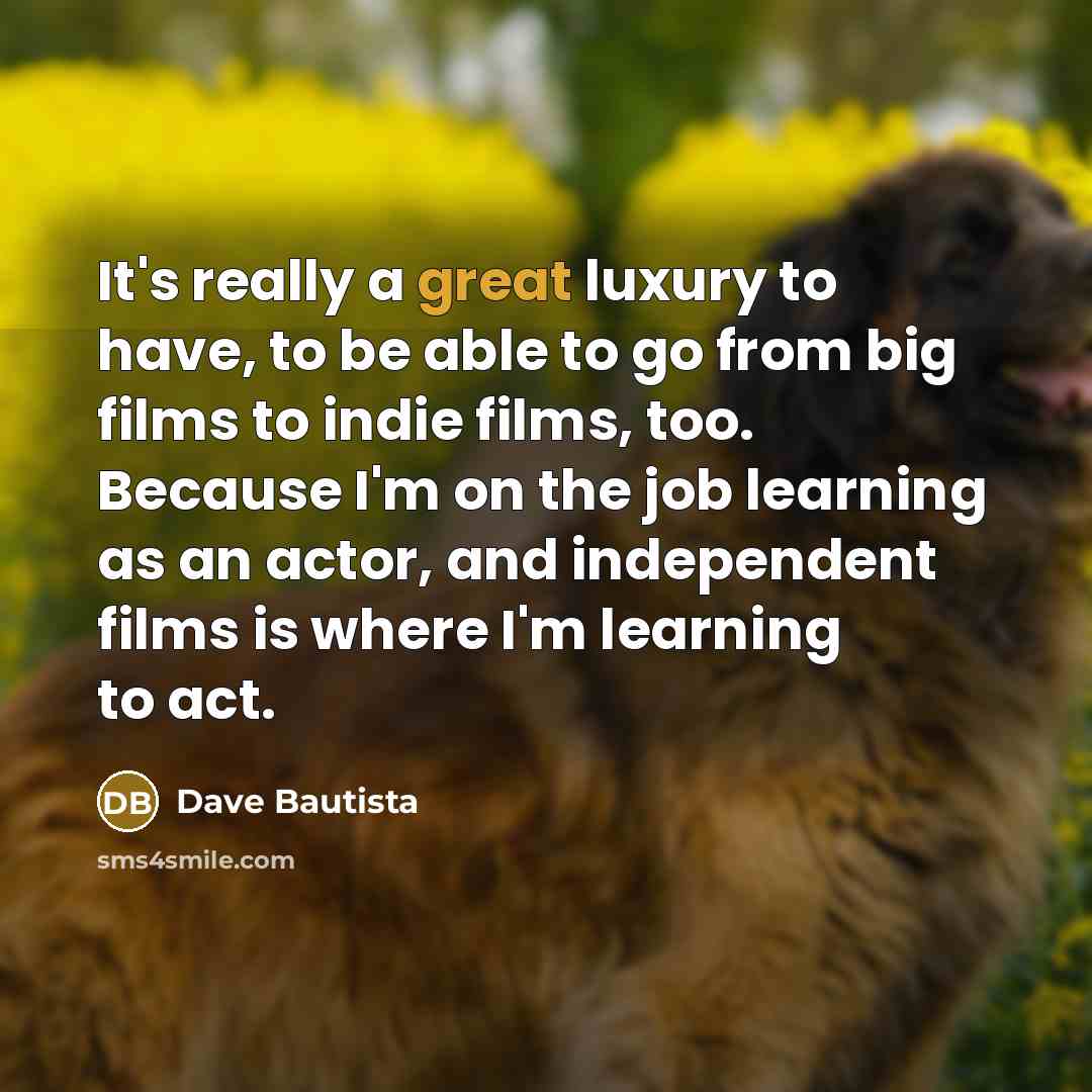 “It's really a great luxury to have, to be able…” quote by Dave Bautista
