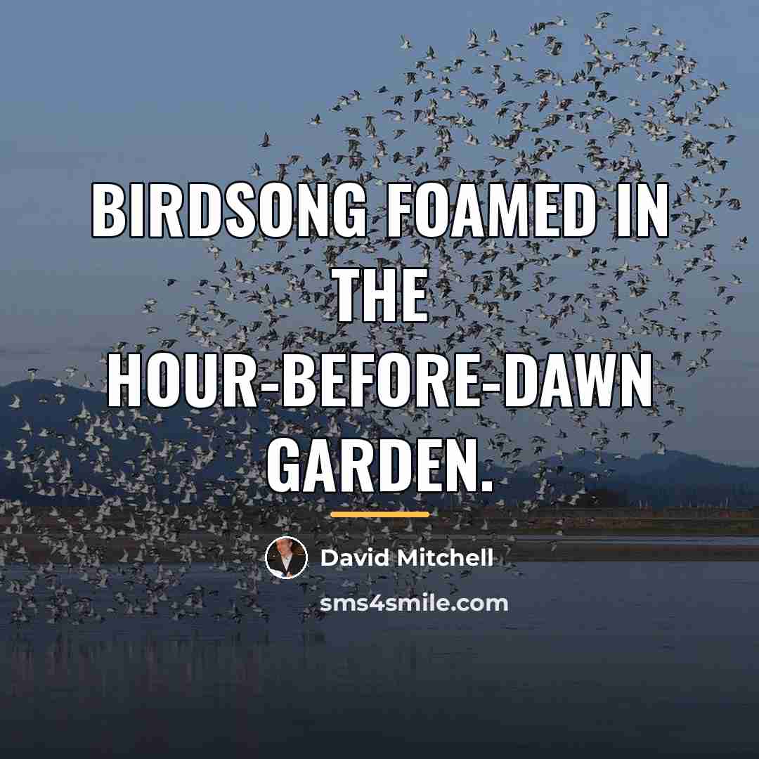 “Birdsong foamed in the hour-before-dawn garden.…” quote by David Mitchell