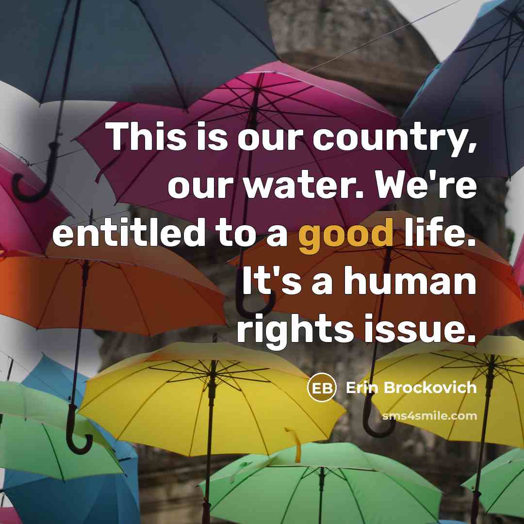 “This is our country, our water. We're entitled to a…” quote by Erin Brockovich