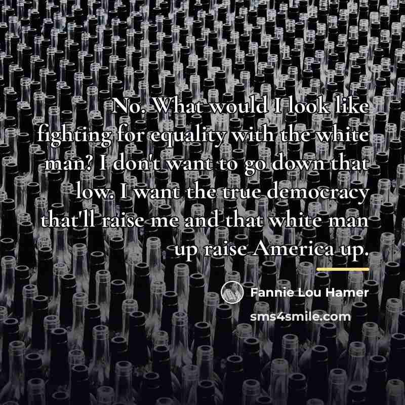 “No. What would I look like fighting for equality with…” quote by Fannie Lou Hamer