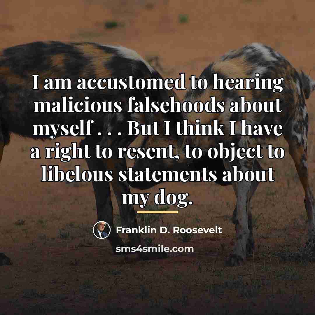 “I am accustomed to hearing malicious falsehoods about myself .…” quote by Franklin D. Roosevelt