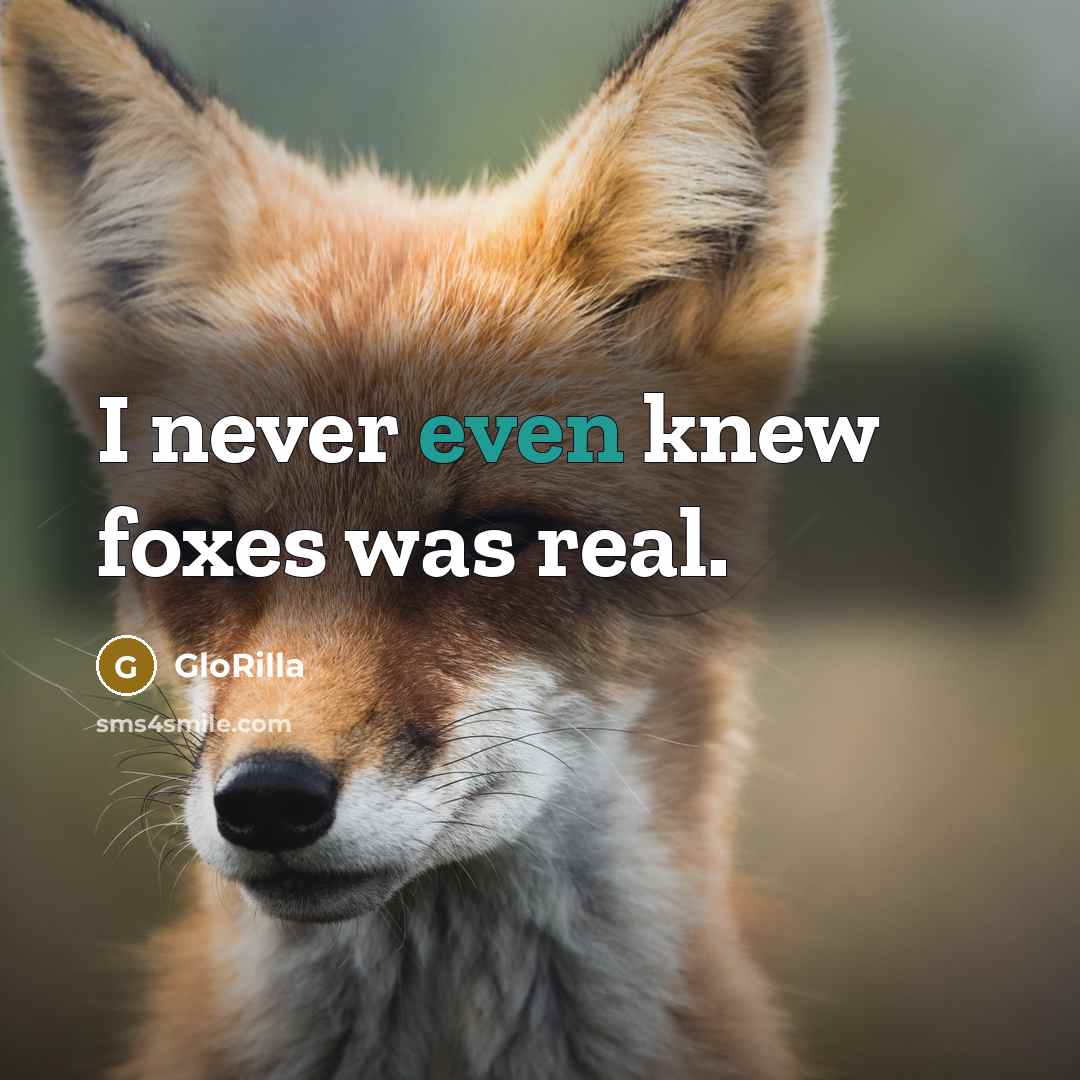 “I never even knew foxes was real.…” quote by GloRilla