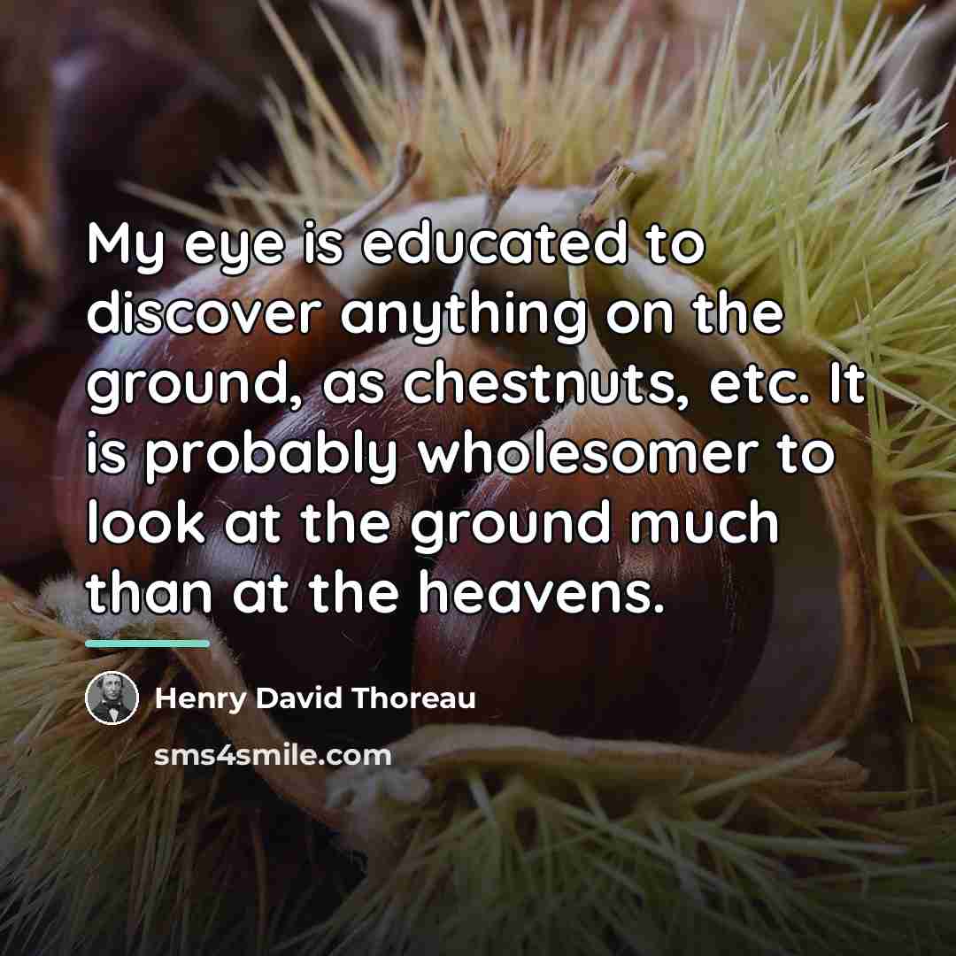 “My eye is educated to discover anything on the ground,…” quote by Henry David Thoreau