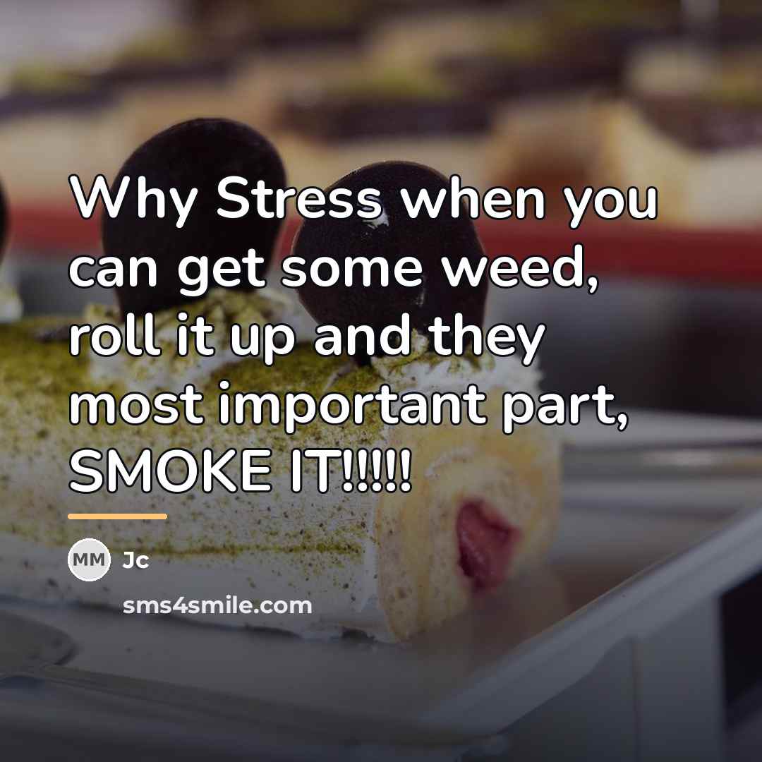 “Why Stress when you can get some weed, roll it…” quote by JC