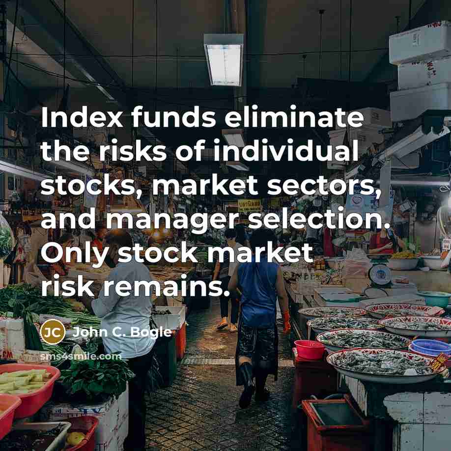 “Index funds eliminate the risks of individual stocks, market sectors, and manager selection. Only stock market risk remains.” quote by John C. Bogle