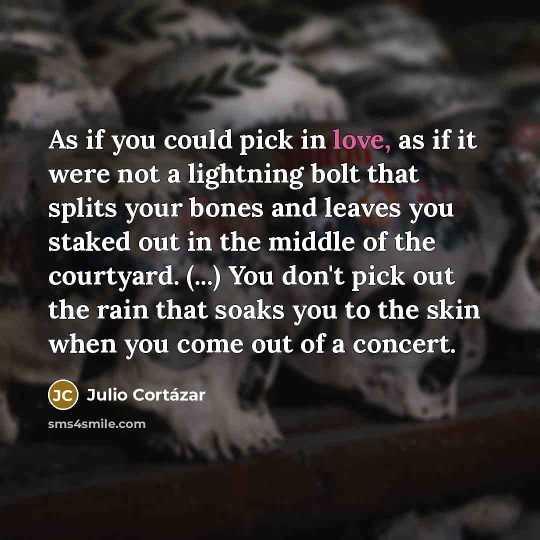 “As if you could pick in love, as if it…” quote by Julio Cortazar