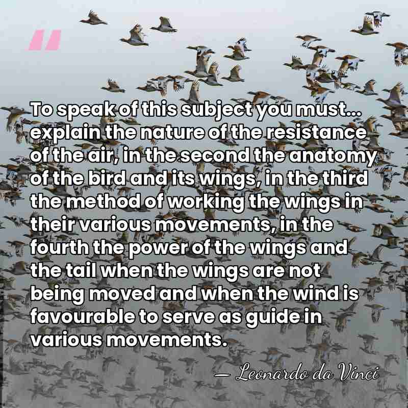 To speak of this subject you must... explain the nature of the&hellip; - Leonardo da Vinci