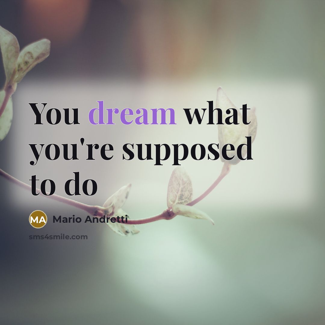 “You dream what you're supposed to do…” quote by Mario Andretti