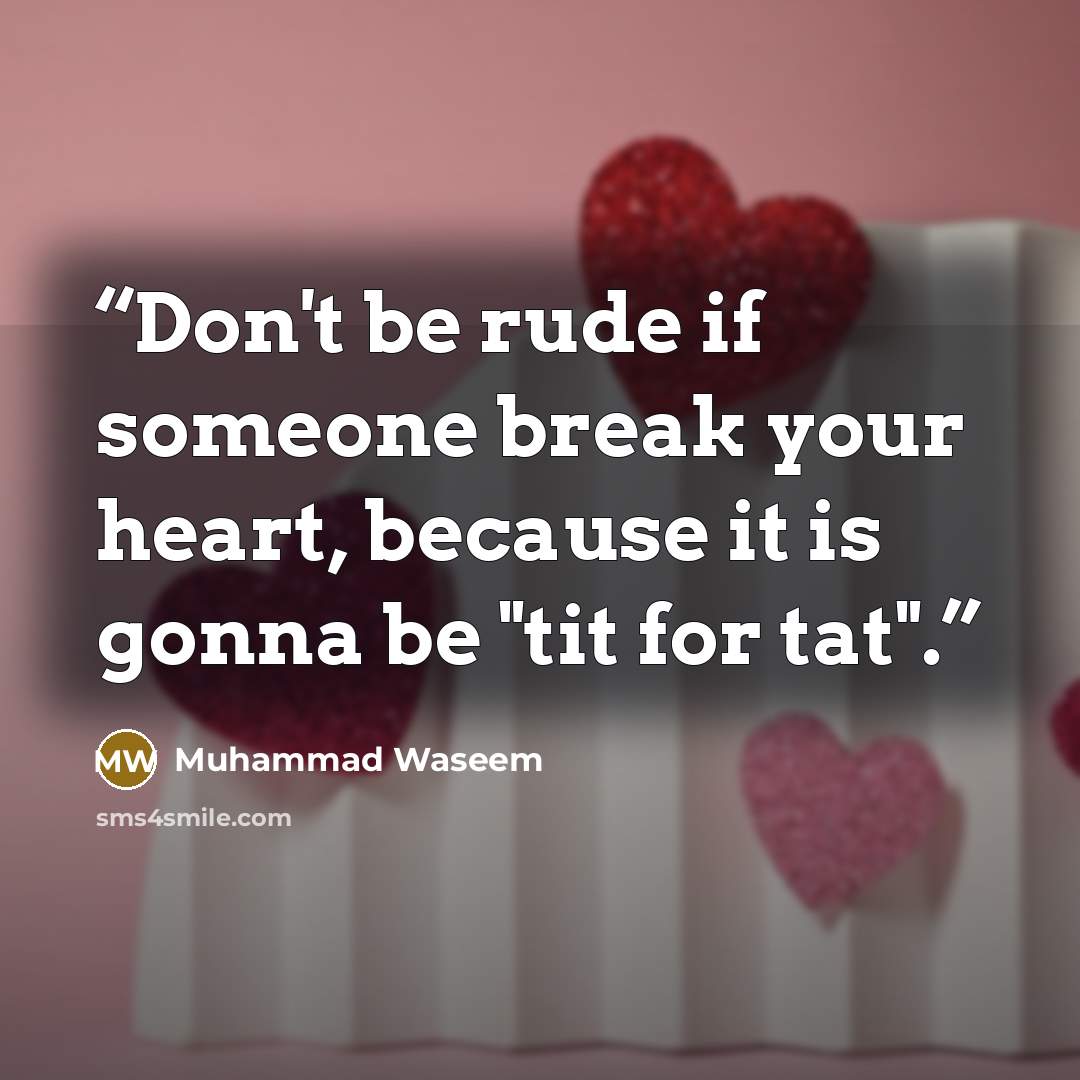 “Don't be rude if someone break your heart, because it is gonna be "tit for tat".” quote by Muhammad Waseem