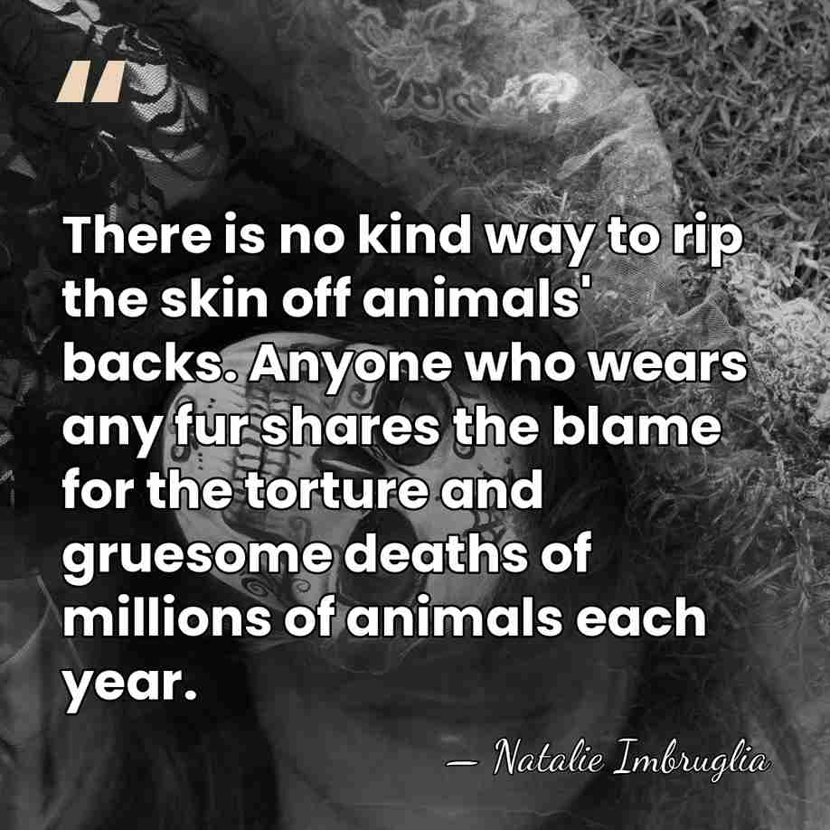 There is no kind way to rip the skin off animals' backs.&hellip; - Natalie Imbruglia