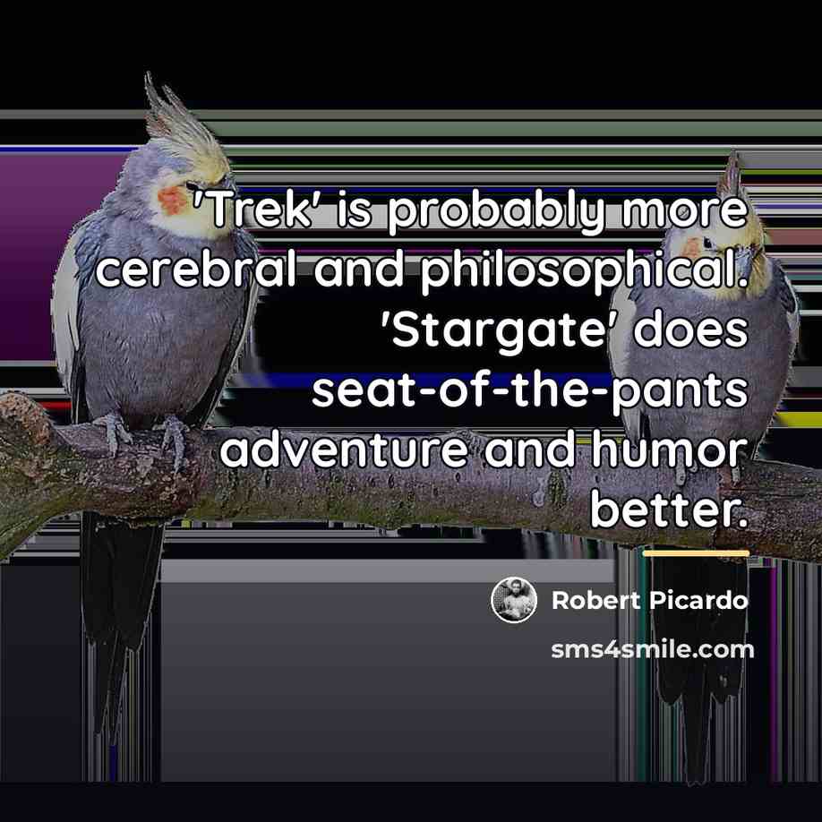 “'Trek' is probably more cerebral and philosophical. 'Stargate' does seat-of-the-pants…” quote by Robert Picardo