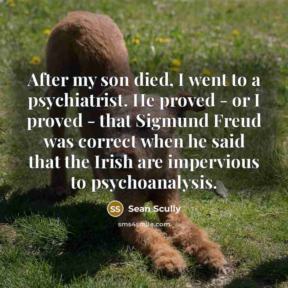 “After my son died, I went to a psychiatrist. He…” quote by Sean Scully