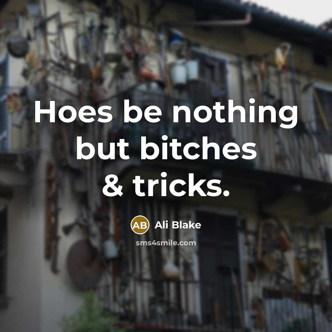 “Hoes be nothing but bitches & tricks.…” quote by Ali Blake