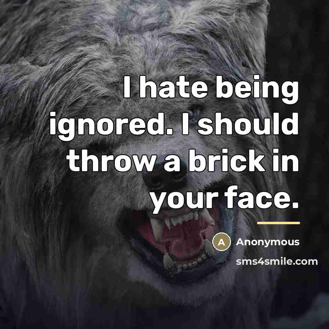 “I hate being ignored. I should throw a brick in…” quote by Anonymous