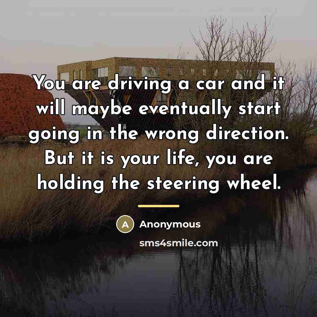“You are driving a car and it will maybe eventually…” quote by Anonymous