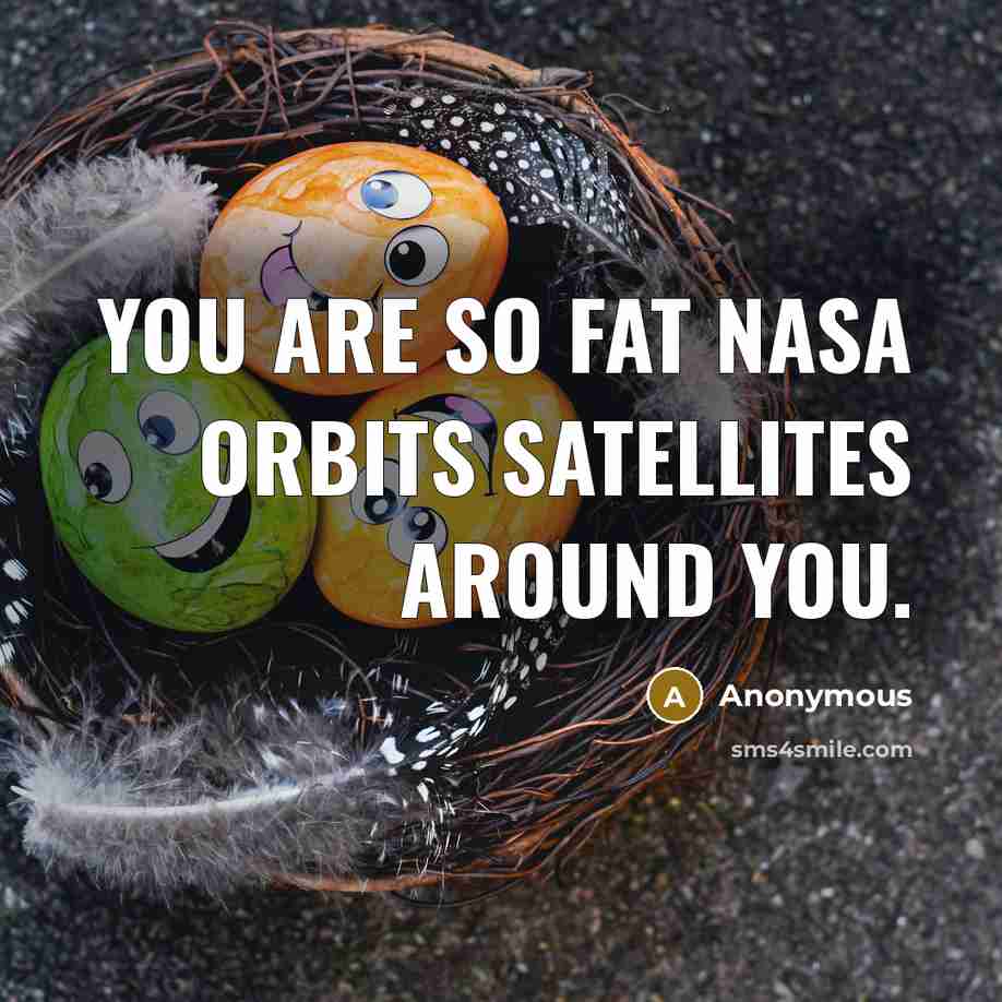 “You are so fat NASA orbits satellites around you.…” quote by Anonymous