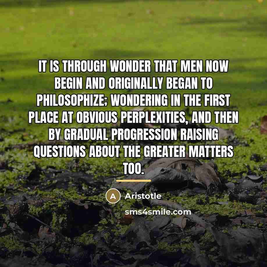 “It is through wonder that men now begin and originally…” quote by Aristotle