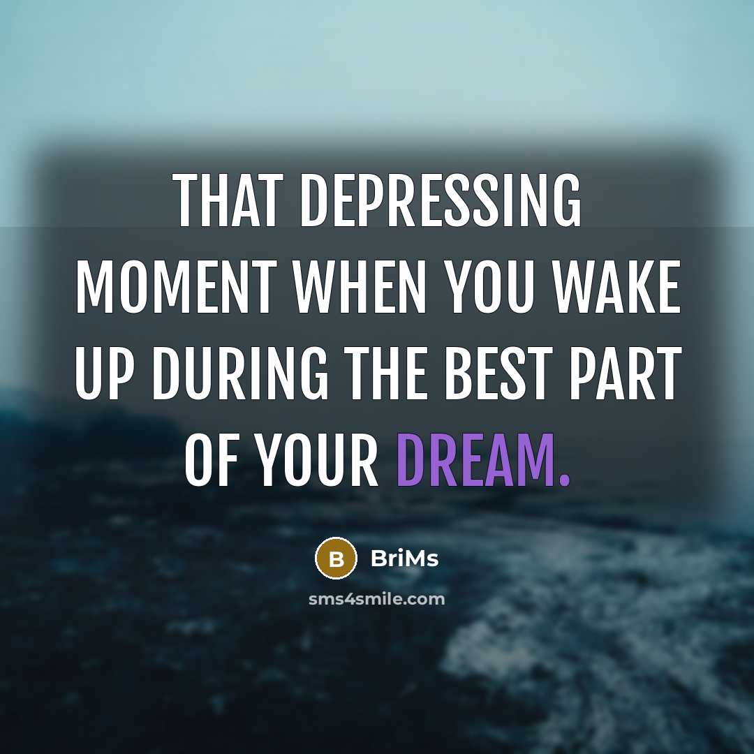 “That depressing moment when you wake up during the best part of your dream.” quote by BriMs