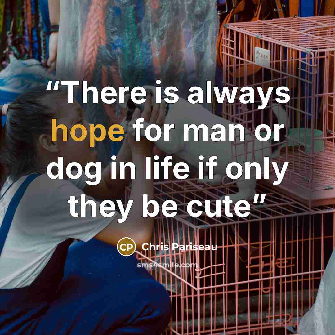 “There is always hope for man or dog in life if only they be cute” quote by Chris Pariseau