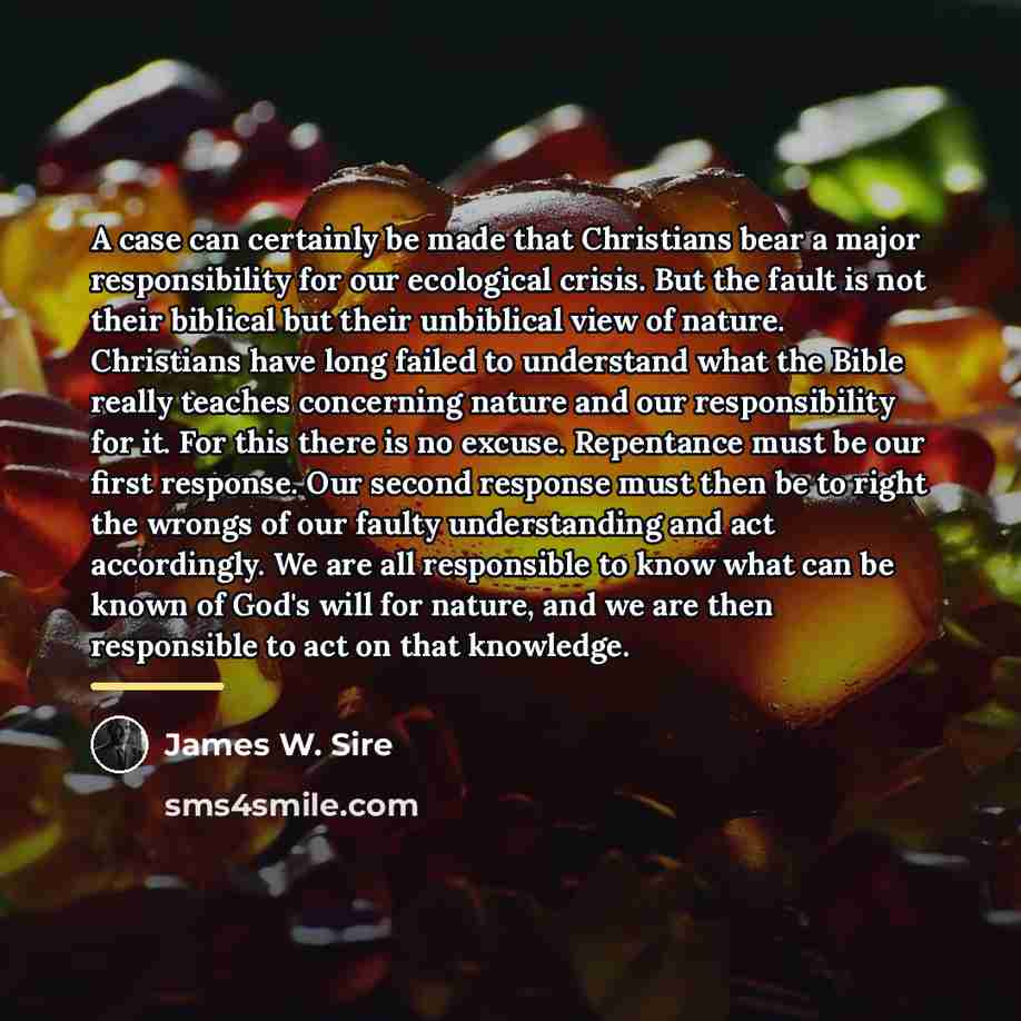 “A case can certainly be made that Christians bear a…” quote by James W. Sire