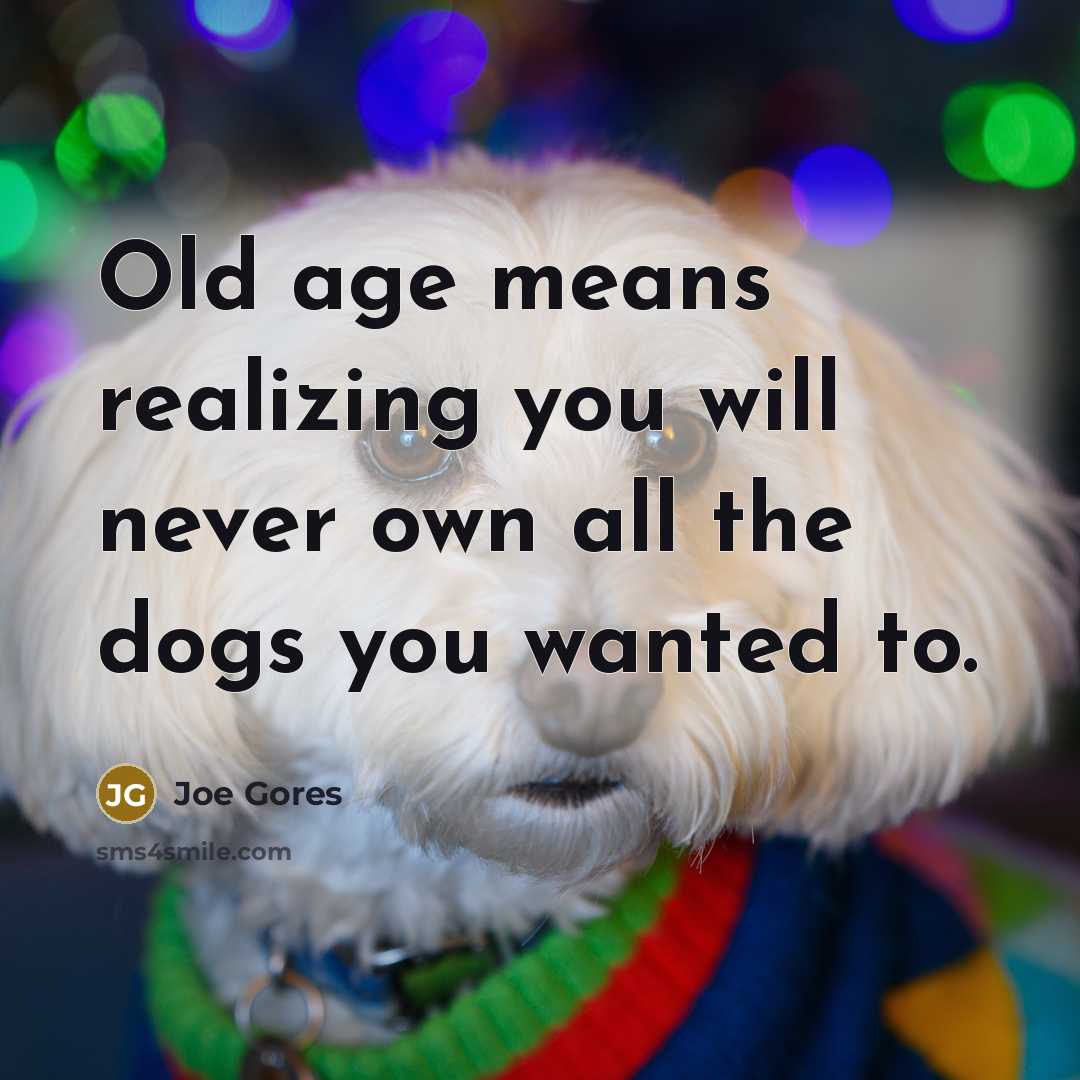 “Old age means realizing you will never own all the…” quote by Joe Gores