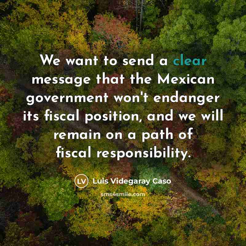 “We want to send a clear message that the Mexican…” quote by Luis Videgaray Caso