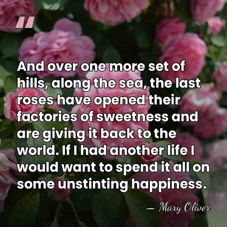 And over one more set of hills, along the sea, the last&hellip; - Mary Oliver