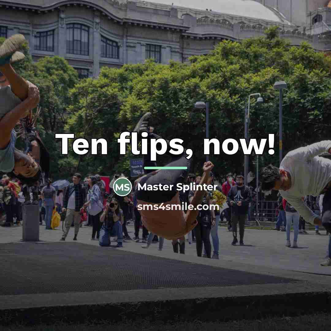 “Ten flips, now!…” quote by Master Splinter