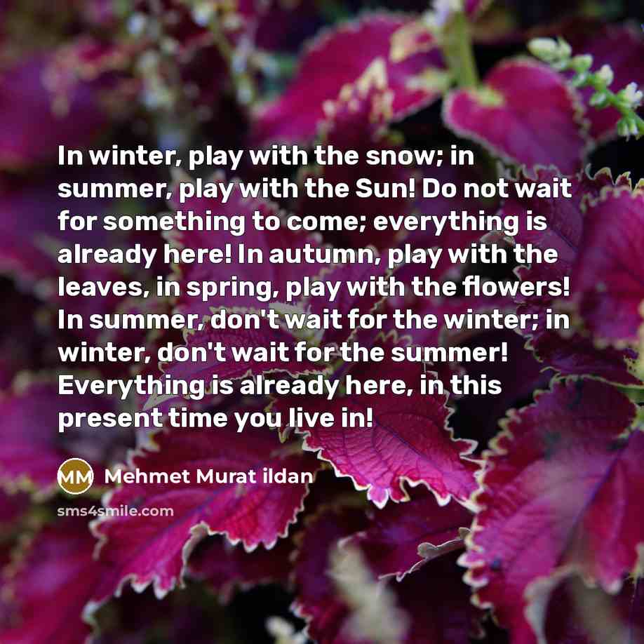 “In winter, play with the snow; in summer, play with…” quote by Mehmet Murat Ildan