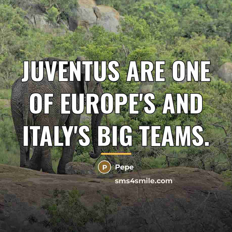 “Juventus are one of Europe's and Italy's big teams.…” quote by Pepe