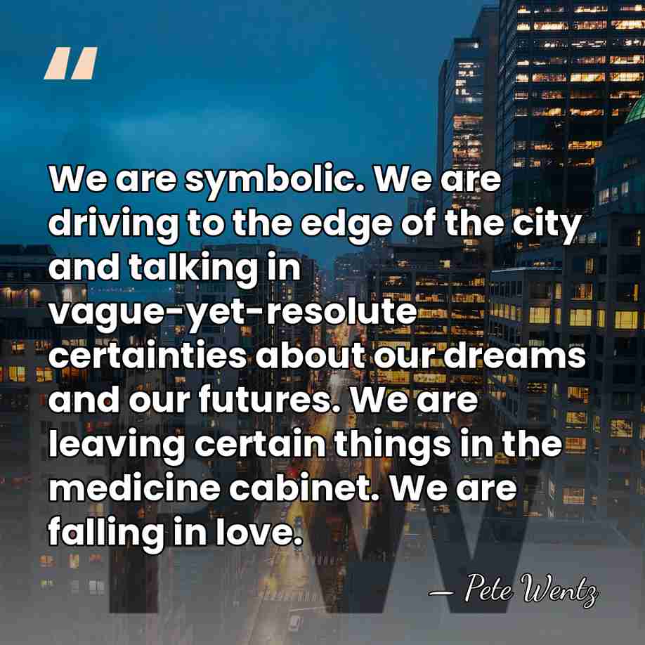 We are symbolic. We are driving to the edge of the city&hellip; - Pete Wentz