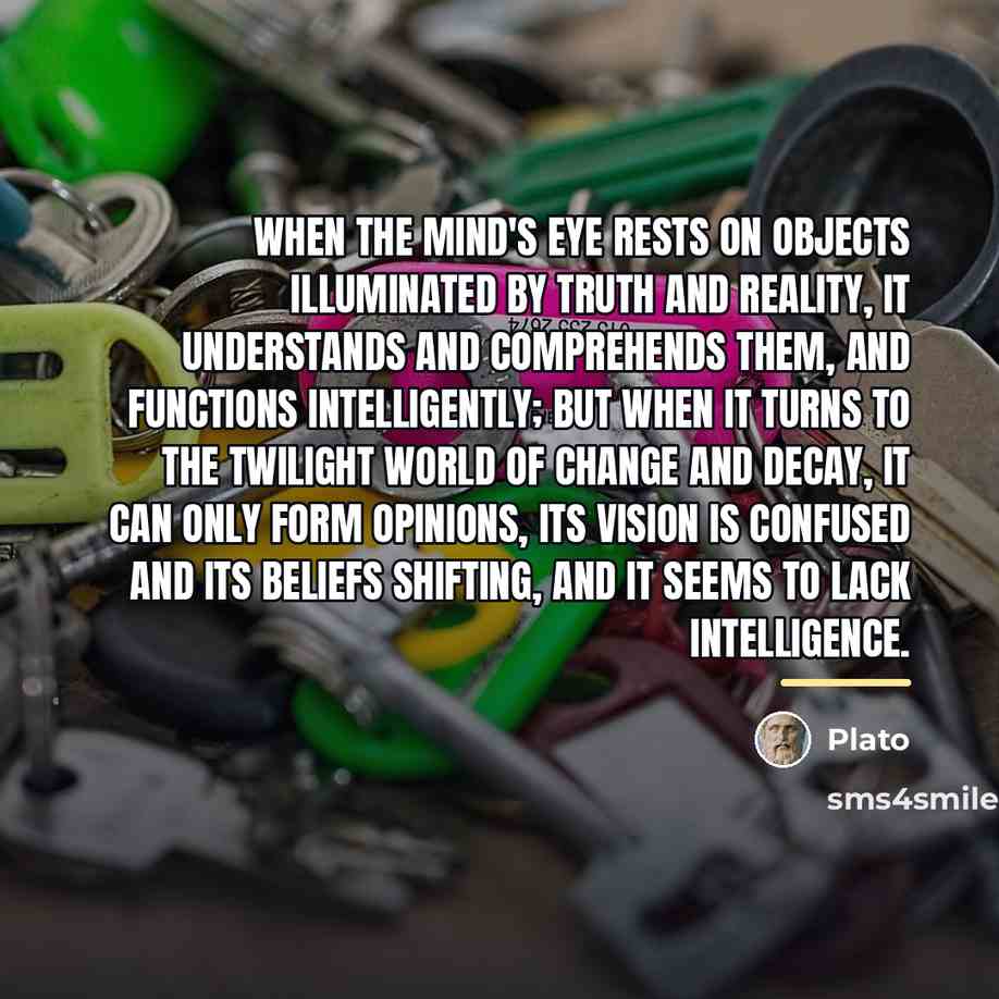 “When the mind's eye rests on objects illuminated by truth…” quote by Plato