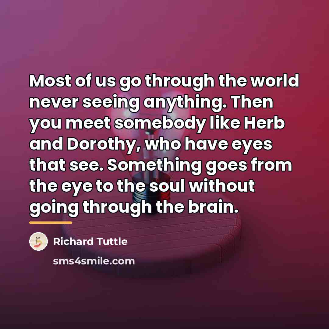“Most of us go through the world never seeing anything.…” quote by Richard Tuttle