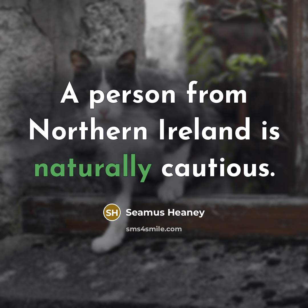 “A person from Northern Ireland is naturally cautious.…” quote by Seamus Heaney
