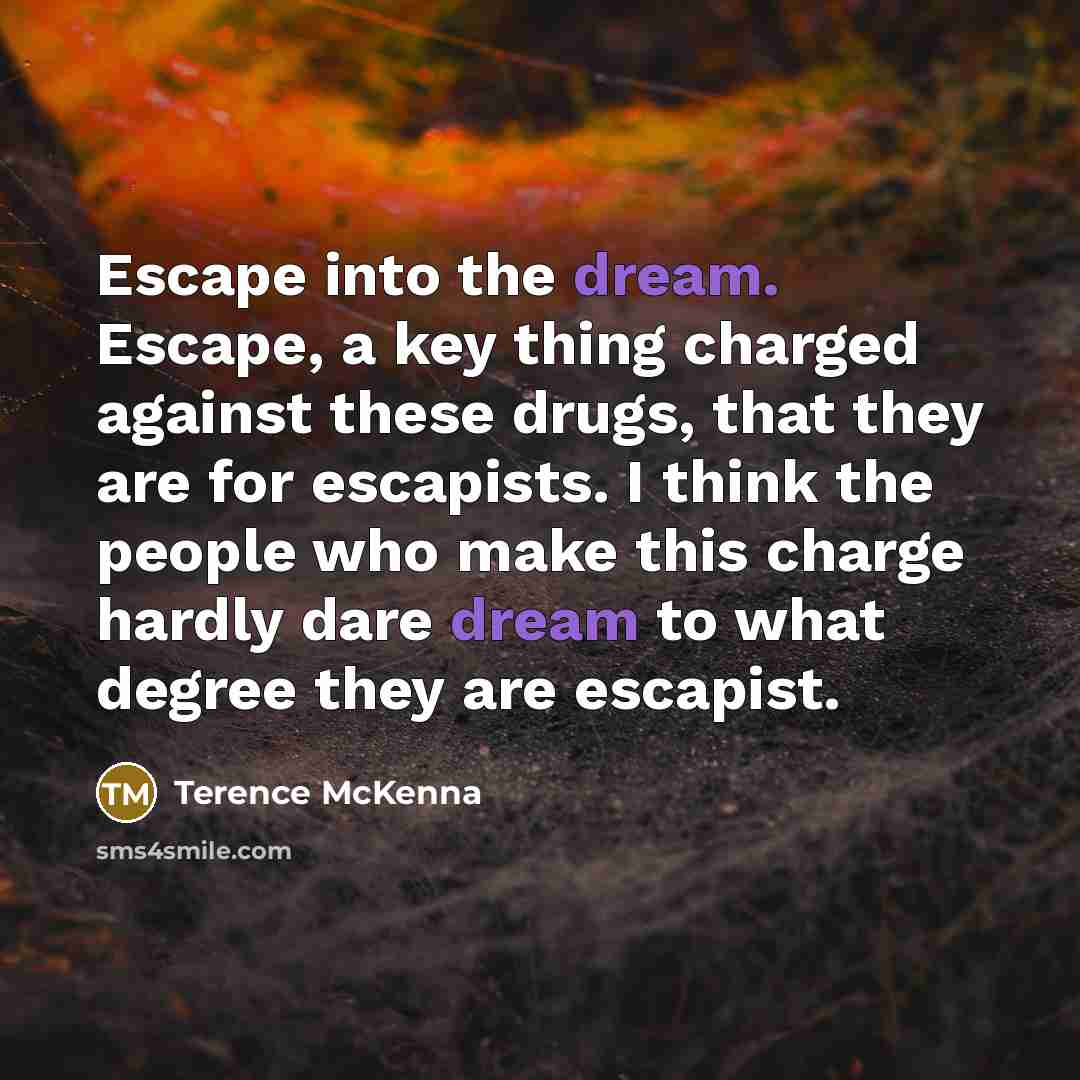 “Escape into the dream. Escape, a key thing charged against…” quote by Terence McKenna