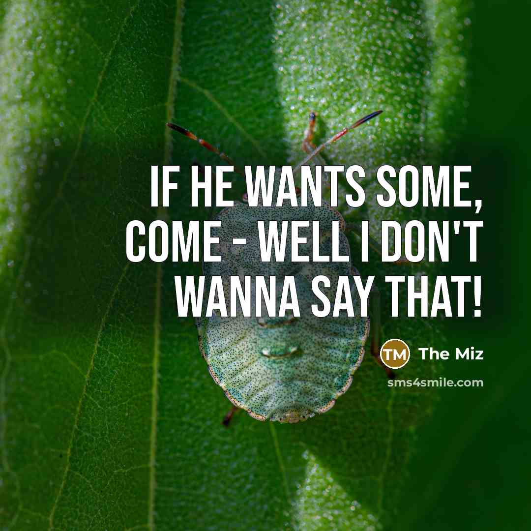 “If he wants some, come - well I don't wanna say that!” quote by The Miz
