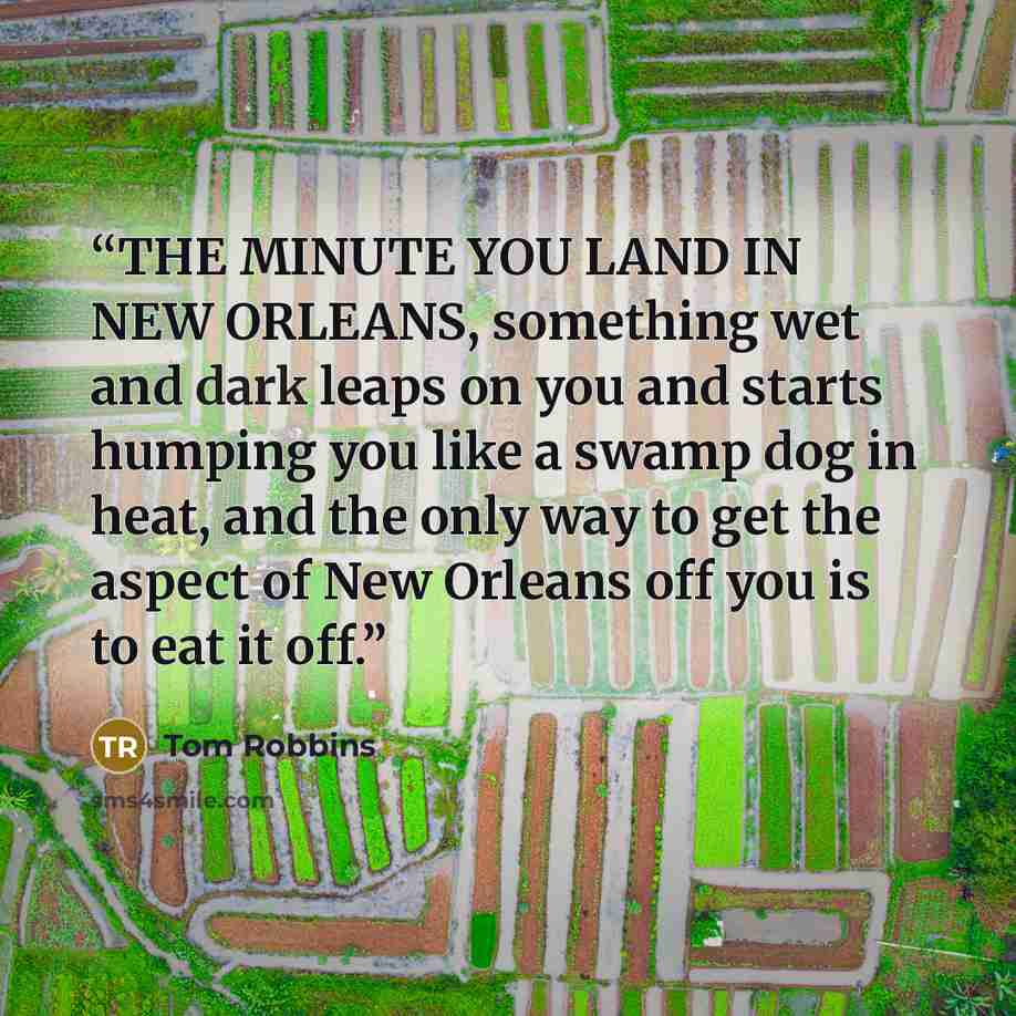 “THE MINUTE YOU LAND IN NEW ORLEANS, something wet and dark leaps on you and starts humping you like a swamp dog in heat, and the only way to get the aspect of New Orleans off you is to eat it off.” quote by Tom Robbins