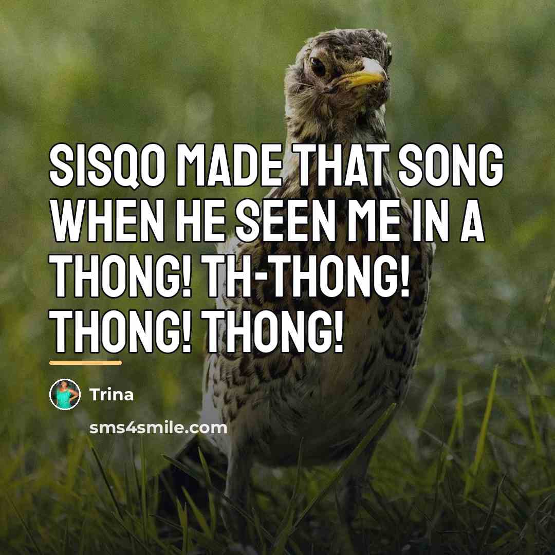 “Sisqo made that song when he seen me in a…” quote by Trina