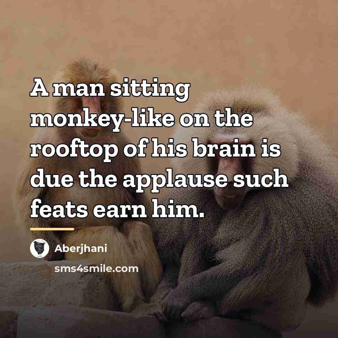 “A man sitting monkey-like on the rooftop of his brain…” quote by Aberjhani