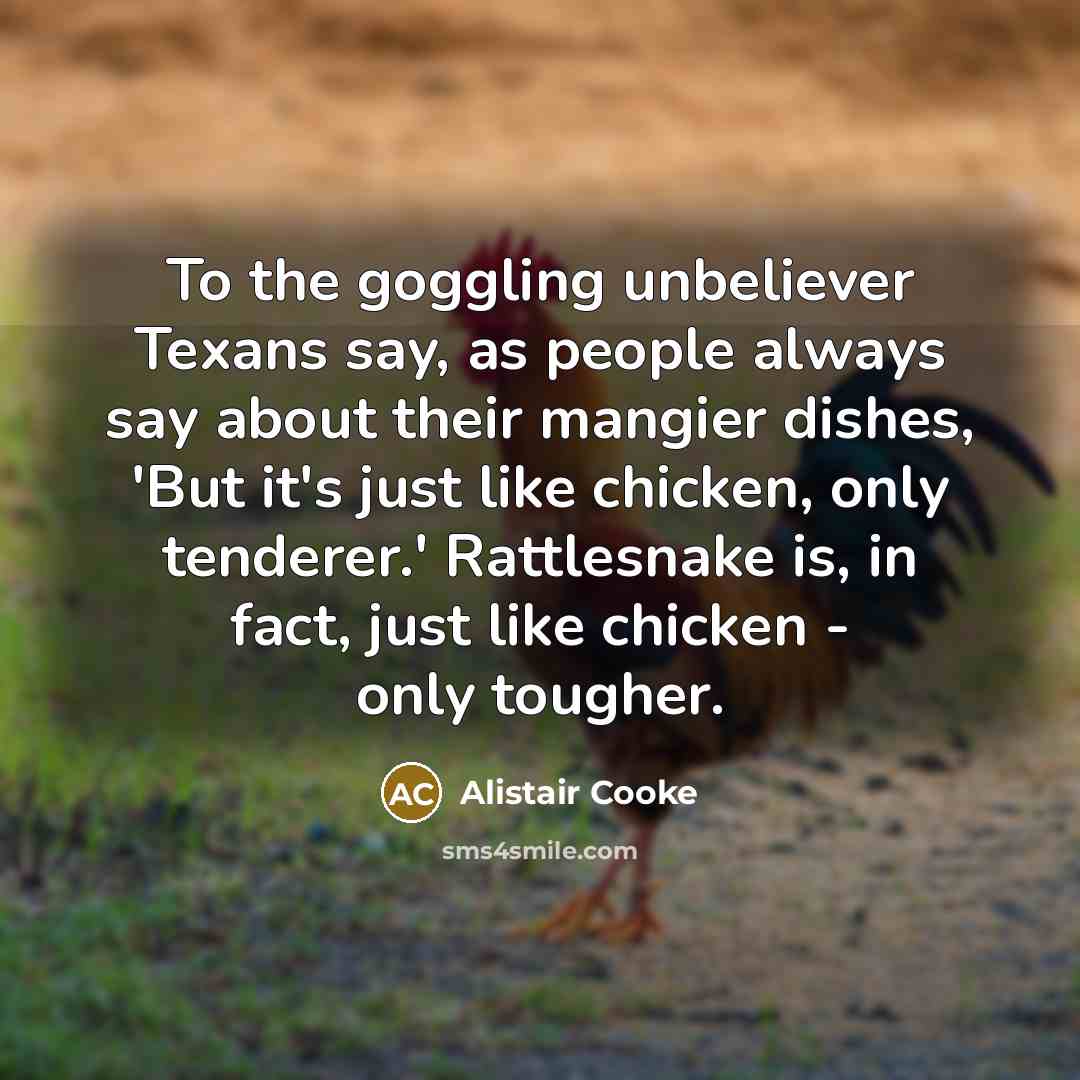 “To the goggling unbeliever Texans say, as people always say…” quote by Alistair Cooke