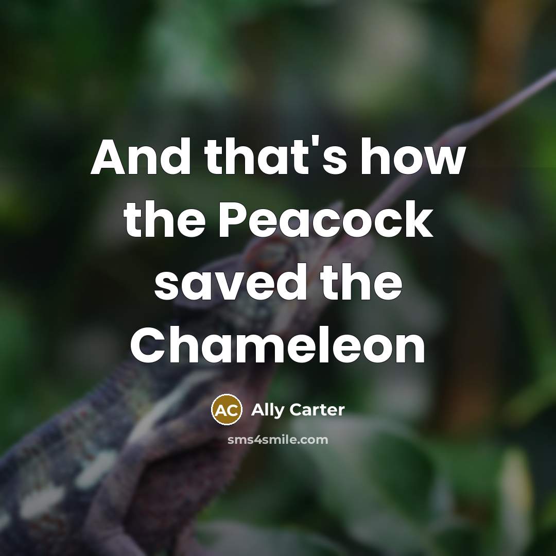 “And that's how the Peacock saved the Chameleon…” quote by Ally Carter
