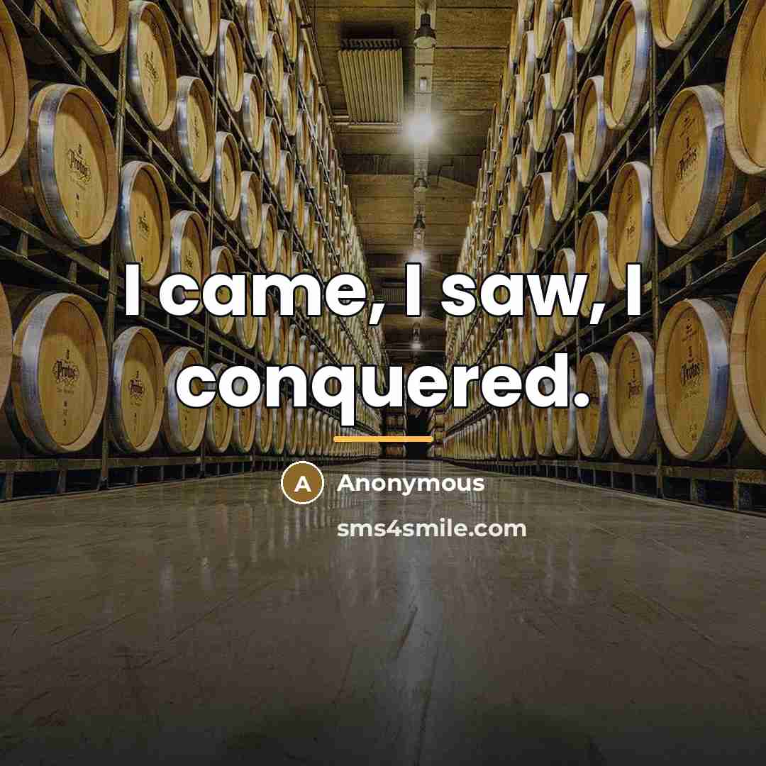 “I came, I saw, I conquered.…” quote by Anonymous