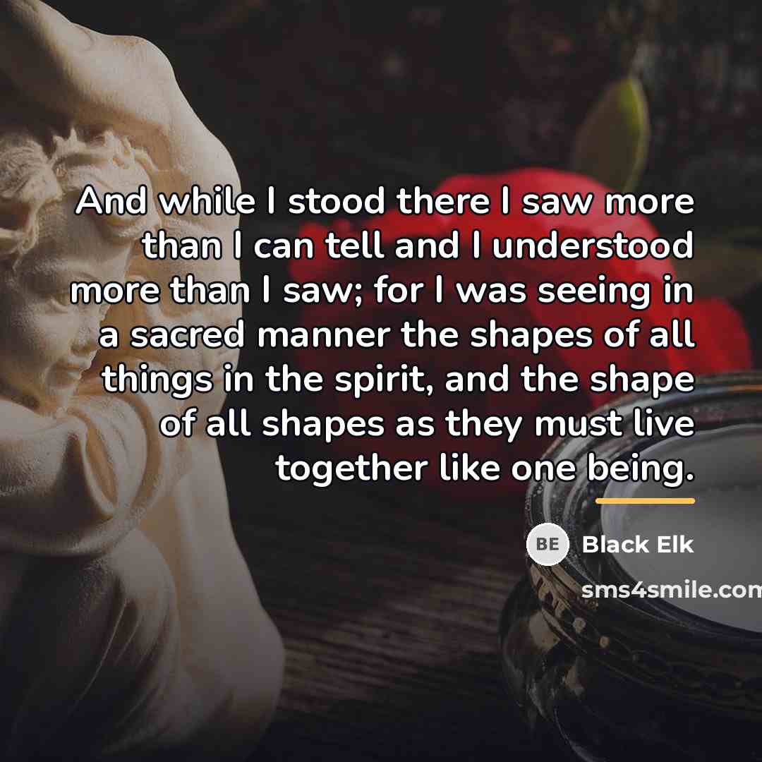 “And while I stood there I saw more than I…” quote by Black Elk