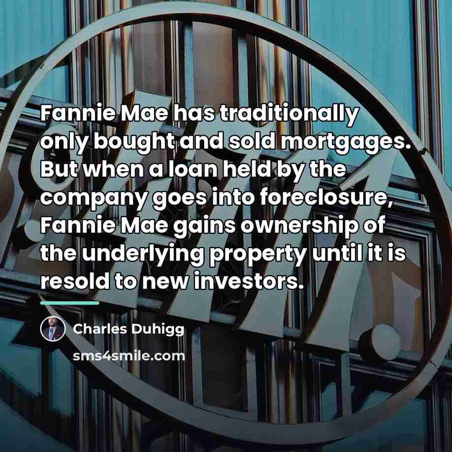 “Fannie Mae has traditionally only bought and sold mortgages. But…” quote by Charles Duhigg
