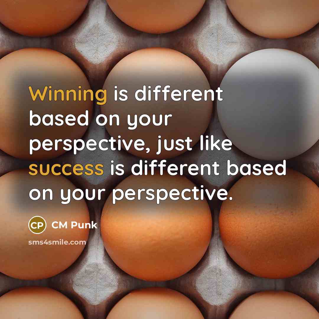 “Winning is different based on your perspective, just like success is different based on your perspective.” quote by CM Punk