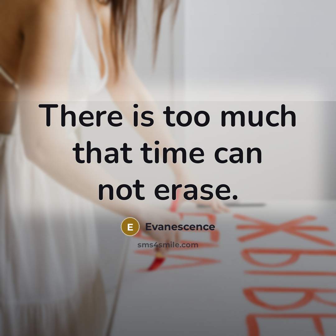 “There is too much that time can not erase.” quote by Evanescence