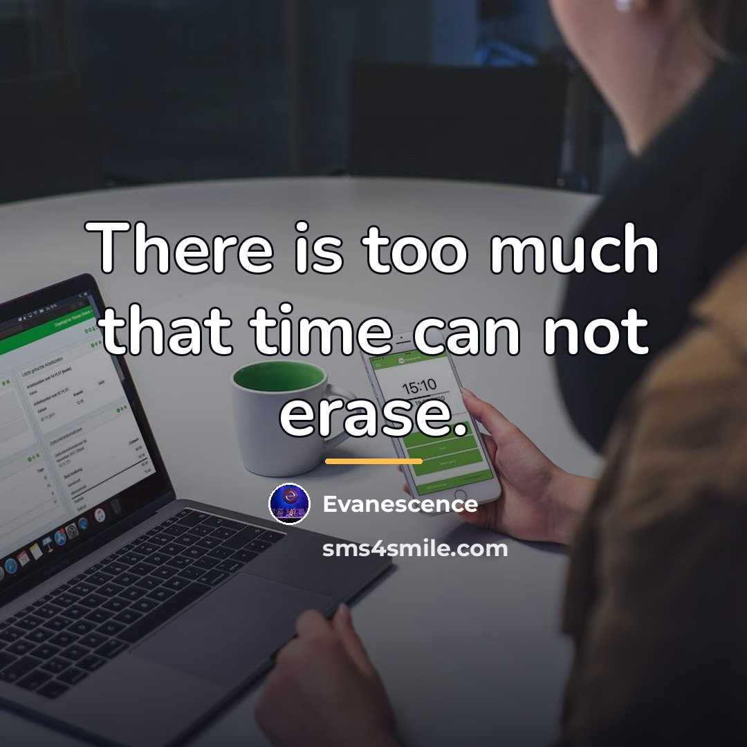 “There is too much that time can not erase.…” quote by Evanescence